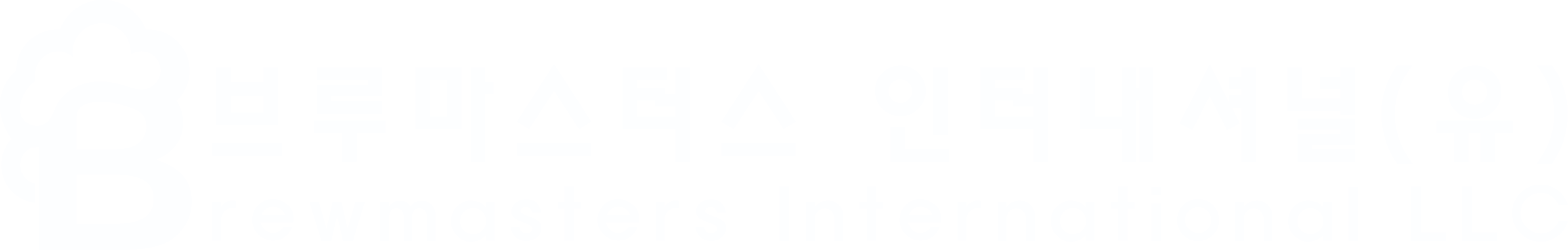 브루마스터스 인터네셔널